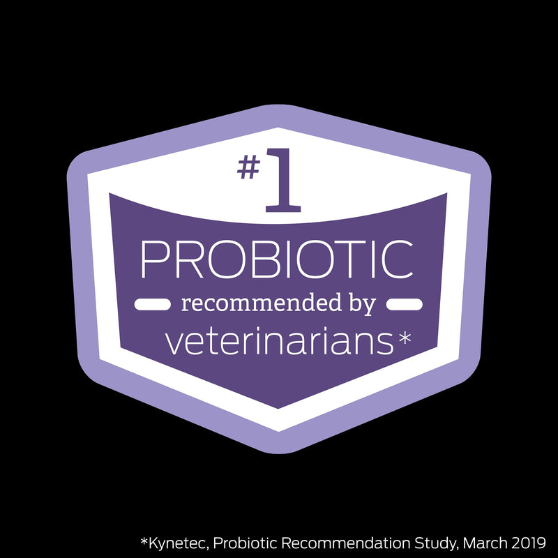 Purina FortiFlora Probiotics for Dogs, Pro Plan Veterinary Supplements Powder or Chewable Probiotic Dog Supplement 1 Pack - BeesActive Australia