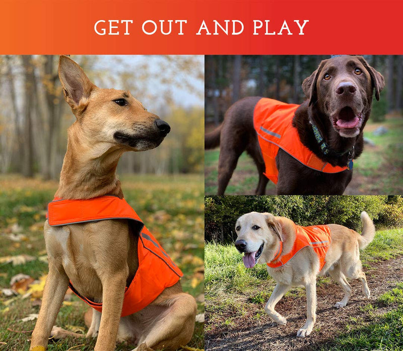 SPOT THE DOG! Reflective Vest Safety Apparel for All Dogs - Easy Fastening Closure, High Visibility Fluorescent Orange Large - BeesActive Australia