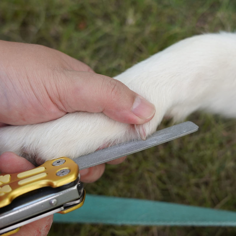 Easy Dog Nail Clippers for Sensitive Dogs, Perfect [Cut The Nails Like Butter] Dog Nail Clipper for Large Medium Small Size Breed, Heavy Duty Multi-Function Dog Toenail Clipper - BeesActive Australia