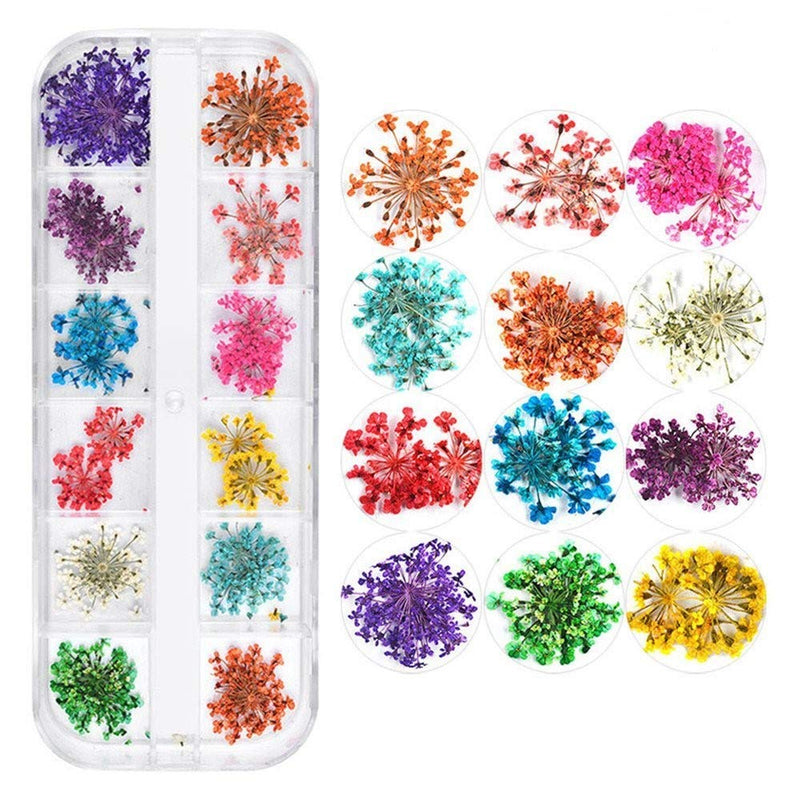 3D Nail Dried Flowers Sticker Set with Tweezers, CHANGAR Real Dried Flowers for Nail Art & Resin Craft DIY Five Petal Flower Leaf Gypsophila Dry Flower Nail Art Decoration Kits(2 Boxes) - BeesActive Australia