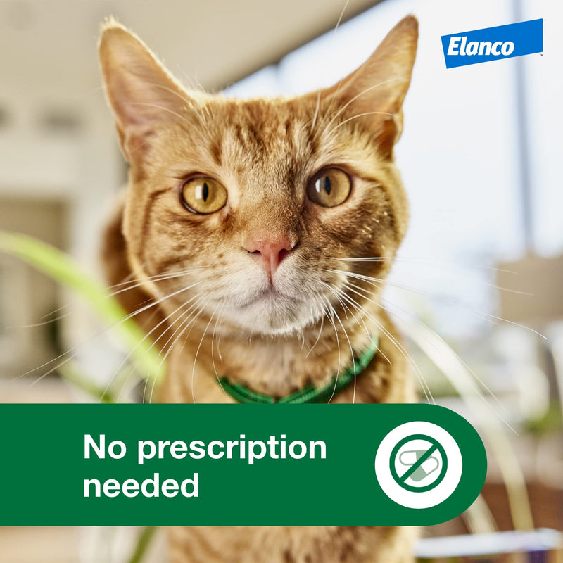 Advantage XD Long-Lasting Flea Prevention & Treatment for Large Cats (Over 9 lbs) 1 Pack - BeesActive Australia