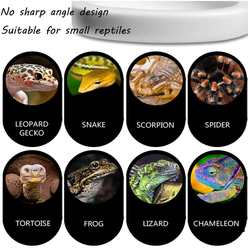 Fuongee Reptile Worm Feeding Dish Bowls Gecko Lizard Feeder Dish with Feeding Tong, 2 Bowls and 1 Feeding Tong, Ceramic Mini Size - BeesActive Australia