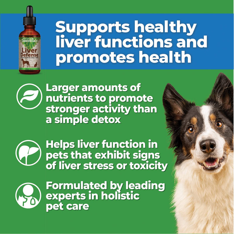 Animal Essentials Pet Supplements for Dog and Cat 2 fl oz (60 ml) - BeesActive Australia