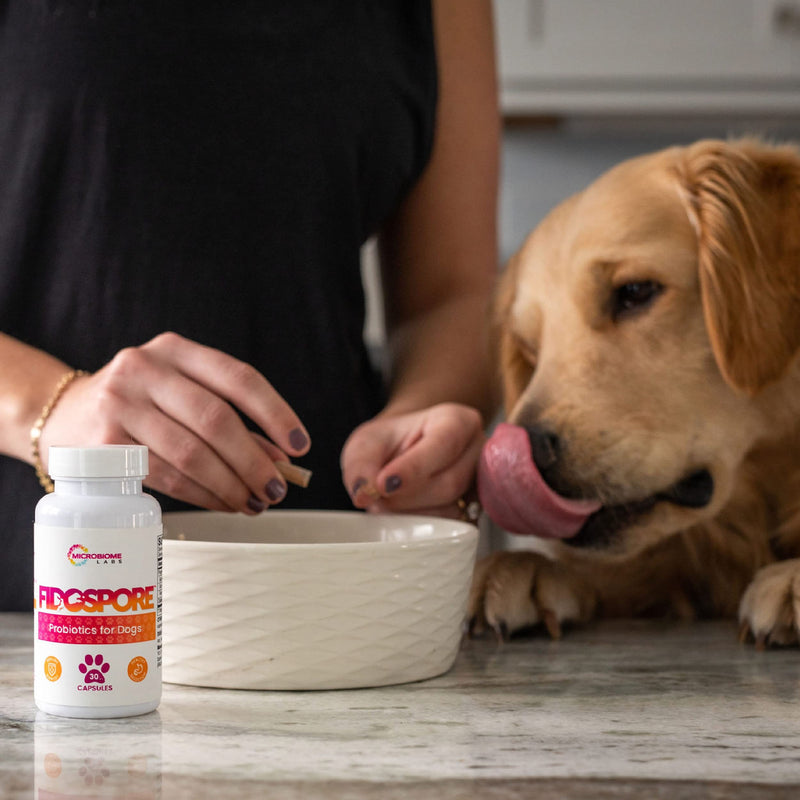 Microbiome Labs FidoSpore Probiotics for Dogs - Dog Probiotic Supplement with Grass-Fed Beef Liver - Digestion & Immune Support - Mix with Pet Food - Dog, Puppy, Cat-Friendly (30 Powder Capsules) - BeesActive Australia