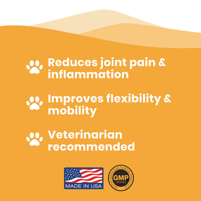 Paramount Pet Health Cat Glucosamine and Omega 3 Fish Oil Bundle - BeesActive Australia