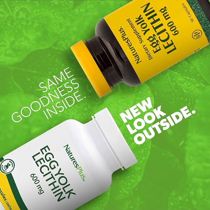 Egg York Lecithin (Egg Yolk Lecithin) - BeesActive Australia