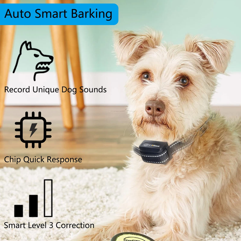Dog Shock Collar, Dog Training Collar with Remote, Waterproof Electric Dog Collar with Beep, Vibration, Shock, Light and Barking Mode, Suitable for Large Medium Small Dogs and Puppy - BeesActive Australia