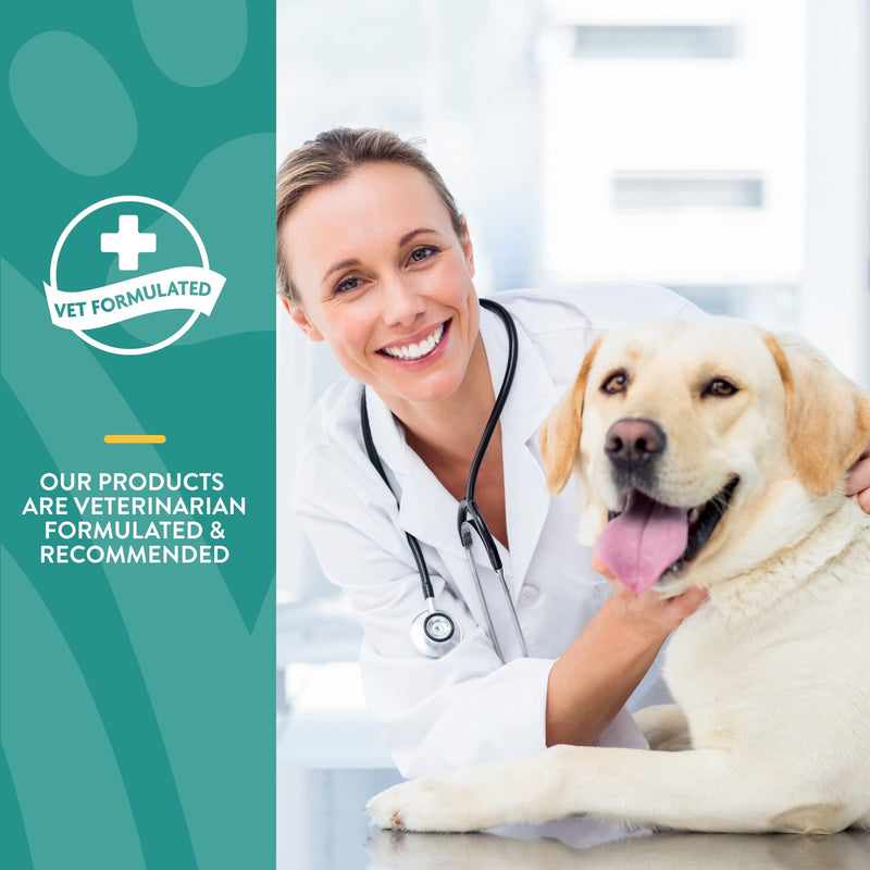 NaturVet Quiet Moments Calming Drops for Cats & Dogs – Helps Reduce Pet Stress, Promotes Relaxation – Dog Supplement, Cat Supplement Includes L-Tryptophan, Ginger, Chamomile 4 fl oz - BeesActive Australia