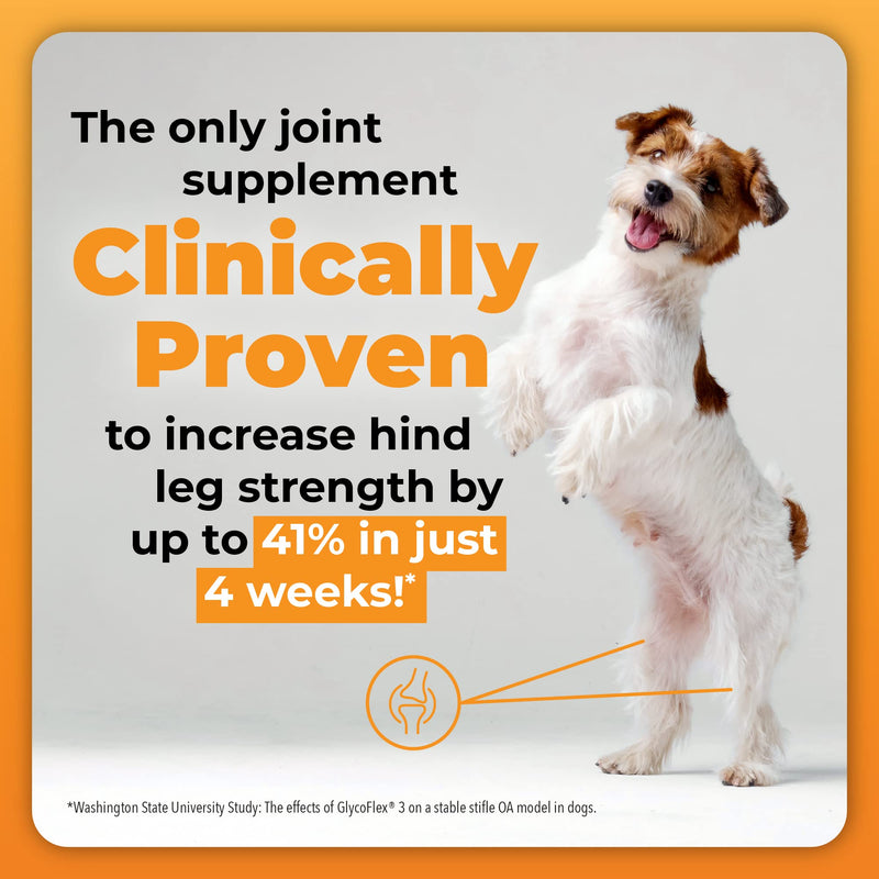 VETRISCIENCE Glycoflex Plus Clinically Proven Hip and Joint Supplement with Glucosamine for Dogs - Advanced Mobility Support with MSM, Chondroitin, and Perna Duck 60 Count - BeesActive Australia