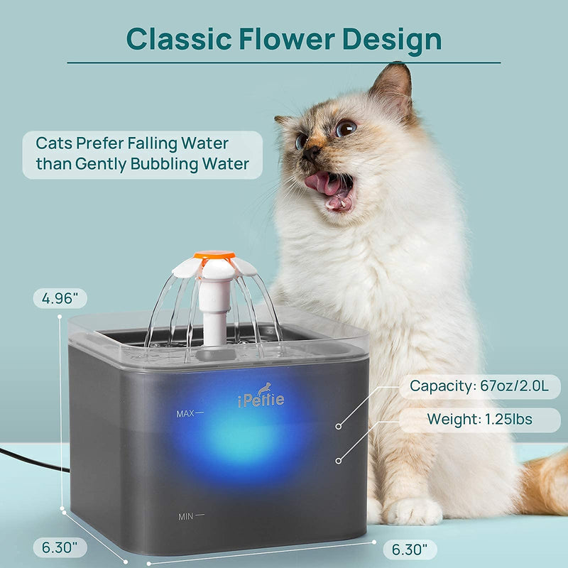 iPettie Neverland Cat Water Fountain with LED Light, 67oz/2.0L, Ultra Quiet Cat Drinking Fountain with Filter, Automatic Pet Water Fountain for Cats and Small Dogs Grey - BeesActive Australia