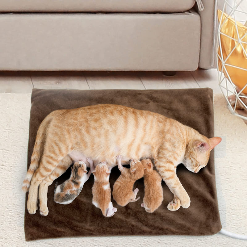 NAMOTEK Pet Heating Pad, Safe Electric Heating Pad for Dogs and Cats Indoor Warming Pad with Auto Constant Temperature 15.7" x 12" - BeesActive Australia