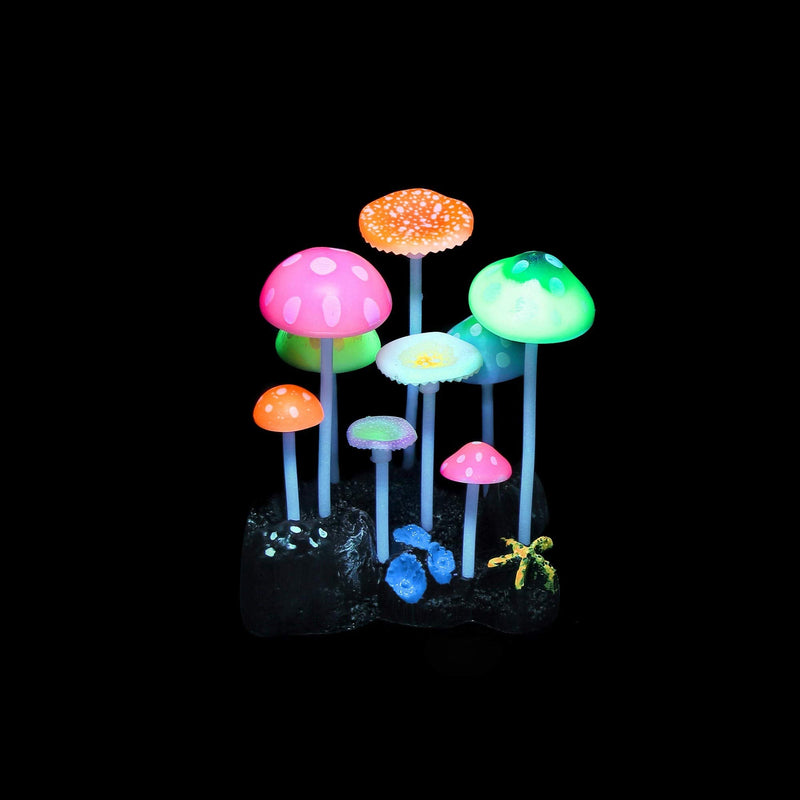 Filhome Glowing Fish Tank Decorations Plants, 4 pcs Glow Aquarium Decorations, Glowing Mushroom Coral Plant Ornaments Mushroom, Strip coral, Coral, Anemone - BeesActive Australia