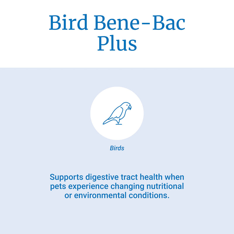 PetAg Bene-Bac Plus Bird & Reptile Gel with Probiotics - Contains Seven Microorganisms - 15 g Syringe - BeesActive Australia