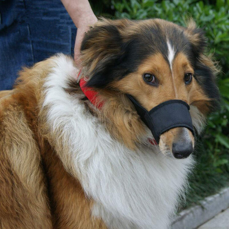 JYHY Nylon Dog Muzzle - Adjustable Quick Fit pet Muzzle Prevent from Biting Barking and Chewing for Small Medium Large Dogs Black - BeesActive Australia