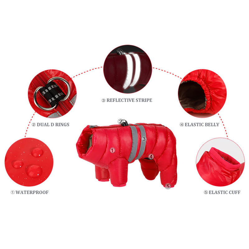 Didog Winter Puppy Dog Coat,Reflective Waterproof Windproof Dogs Cold Weather Jacket with Dual D Leash Ring, Warm Zip Up Pet Coats Clothes for Small Dogs & Cats Outdoor Walking 16#：Chest 17”; Back length 13” Red - BeesActive Australia