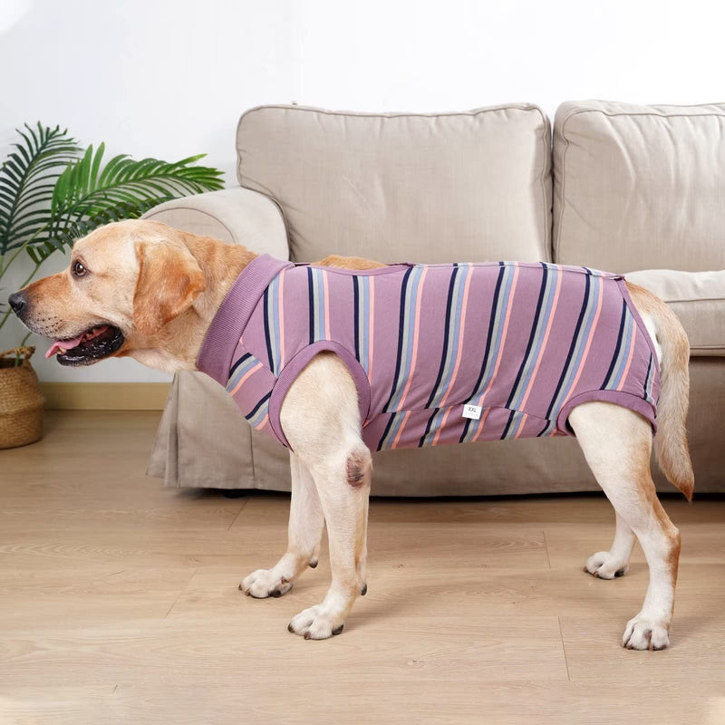 HEYWEAN Dog Surgical Recovery Suit for Dogs Keep Dog from Licking Abdominal Wound E-Collar Alternative After Surgery Wear Multicolour X-Large WineRed - BeesActive Australia