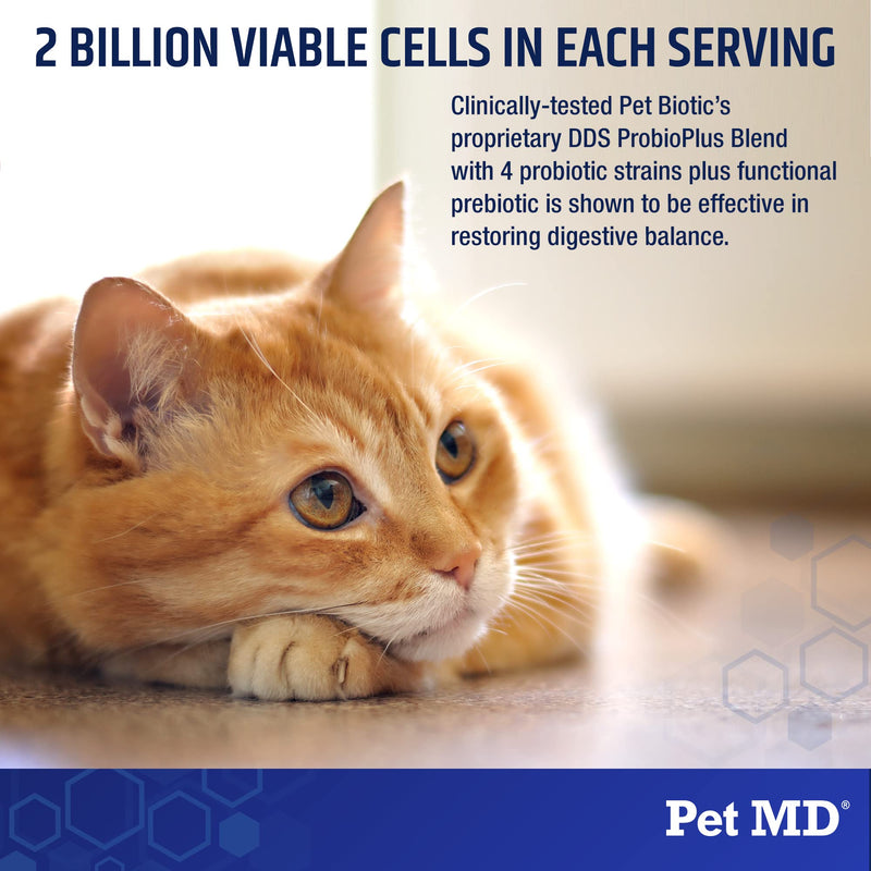 Pet MD Biotic Probiotics for Dogs & Cats - Prebiotic, Fiber, & Probiotic Powder - Gas, Constipation Relief, & Anti Diarrhea - Balance Digestive Flora & Restore Gut Health for Dogs & Cats - 2.12 oz - BeesActive Australia