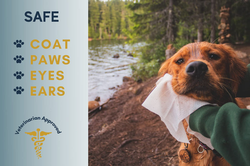 Happy Paws - Natural Pet Wipes for Dogs and Cats. Biodegradable Grooming for Paws, Eyes, Ears, Glands, and Coat. Large and Durable Cleansing Cloths for Essential Pet Care. 20 Individual Wrapped Wipes - BeesActive Australia