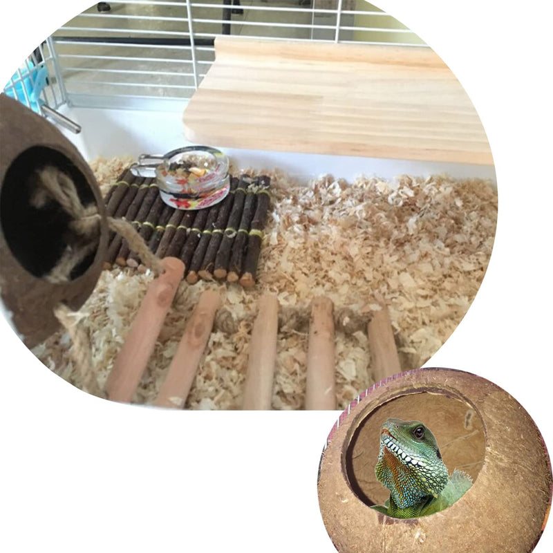 Gecko Coconut Shell Hut,Reptile Hideout Home Nesting House Natural Habitat Decor with Hanging Wooden Ladder for Lizard Gecko Hermit Crab - BeesActive Australia