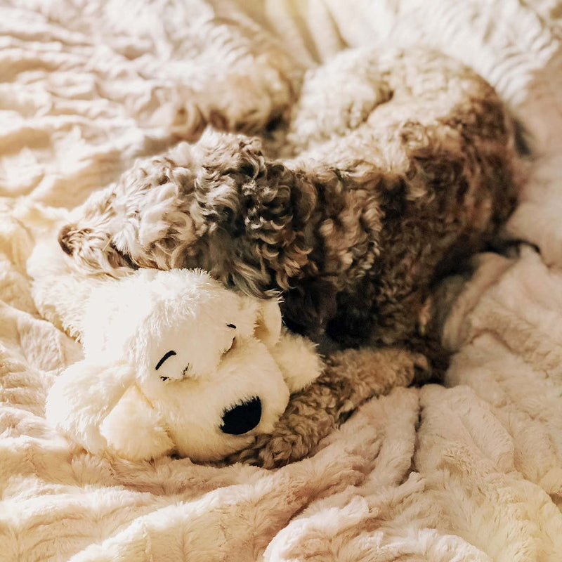 Snuggle Puppy - Extra Heat Pack Bundle - Comes with Snuggle Puppy and Extra 6-Pack of Heat Packs for Pets - BeesActive Australia