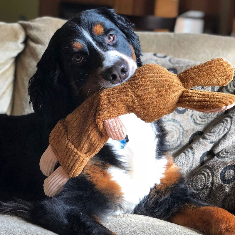 Snuggle Puppy Tender-Tuffs Quiet Bottle Cruncher Plush Dog Toys Bundle - Whisper Rabbit and Rocco Rocket Bottle Toys - Tough Cute Toys with No Squeaker - BeesActive Australia
