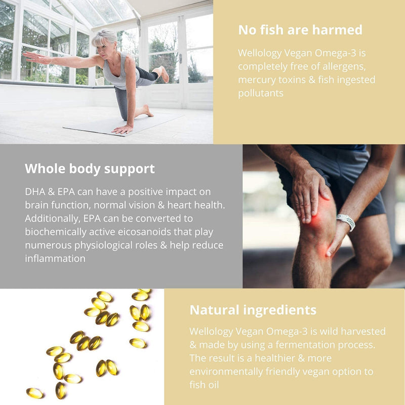 Vegan Omega 3-1200mg Fermented Algae Oil - High Strength EPA DHA - Natures Purest Omega Fatty Acids - Contaminant-Free Alternative to Fish Oil, Cod Liver Oil or Krill Oil - 60 Softgels by Wellology - BeesActive Australia