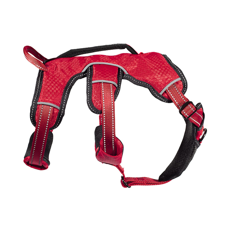 Tuff Pupper Updated for 2022 - Tracker No Escape Dog Harness | Dual Escape Proof Leash Attachments | 5 Point Adjustable Fit Harness for Dogs | Padded Dog Harness for Comfort | Handle Dog Lift Harness Medium (Neck: 18-23" , Chest: 22-31") March Red - BeesActive Australia
