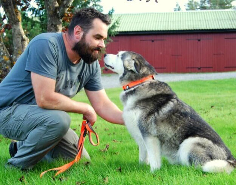 SGODA Dog Leash Hands Free Bungee Leash for Walking Running Training,Nylon Dog Lead with Soft Padded Waist Belt Large length 6.5-11Feet Red - BeesActive Australia