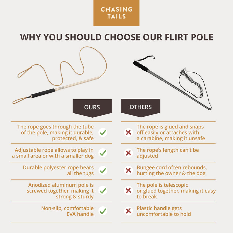 Chasing Tails Flirt Pole For Dogs Large Breed Heavy Duty - Dog Flirt Pole Teaser, Dog Exercise Equipment, Spring Pole for Dogs, Dog Training Toys Dog Flirt Pole for Large Dogs Chase Stick Catcher Pole - BeesActive Australia