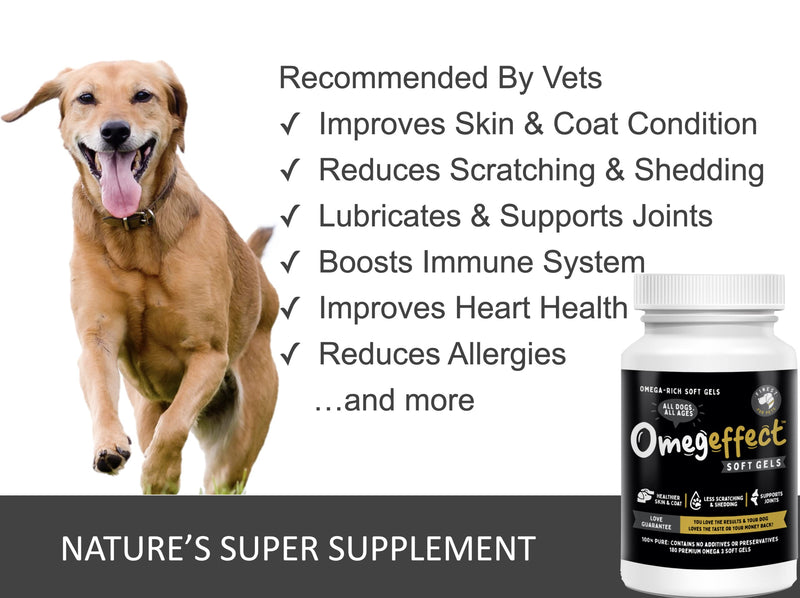 100% Pure Omega 3 Fish Oil for Dogs - Soft Gels for Skin, Coat & Joints. Reduces Scratching & Shedding. from Wild Fish - Better Source of EPA & DHA Than Salmon Oil. Ideal for Medium Large Dogs. 180 Count - BeesActive Australia