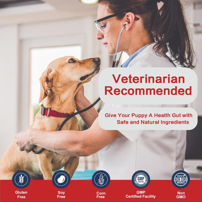 Probiotics for Dogs, Dog Probiotics and Digestive Enzymes for Gut & Digestive Health, with Prebiotics and Multivitamin, Constipation, Diarrhea and Allergy Relief, Immune Support, 180 Tablets Chicken - BeesActive Australia