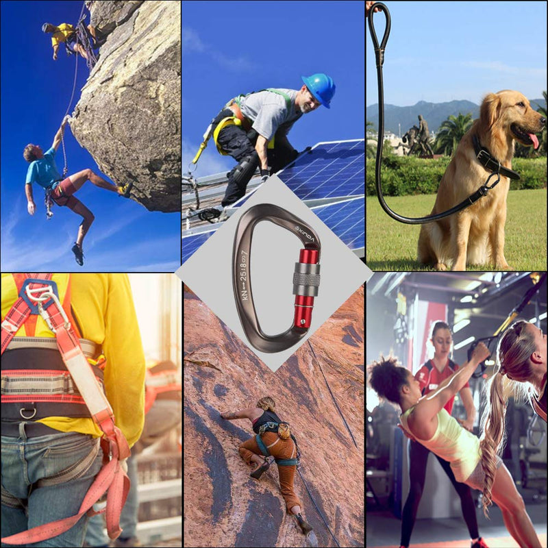 XINDA Screwgate Locking Carabiner Clip - Professional Rock Climbing Carabiner Screw Lock,Heavy Duty Carabiners for Climbing,Mountaineer,Hammock,Camping,Outdoor Equipment 5 pcs Gray - BeesActive Australia