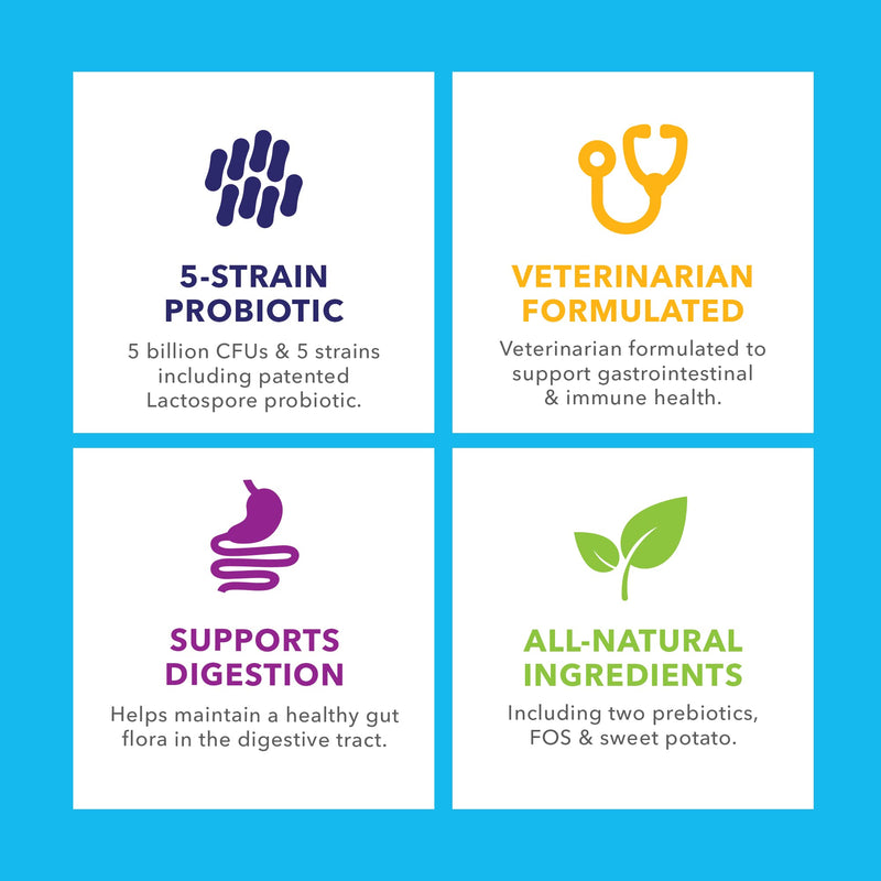 Profivex Probiotics for Dogs Soft Chews Daily Chewable Pet Digestive Treats All-Natural 5 Strain Dog Probiotics with Prebiotics & Added Fiber from Sweet Potato - by Vetnique Labs 60ct - BeesActive Australia