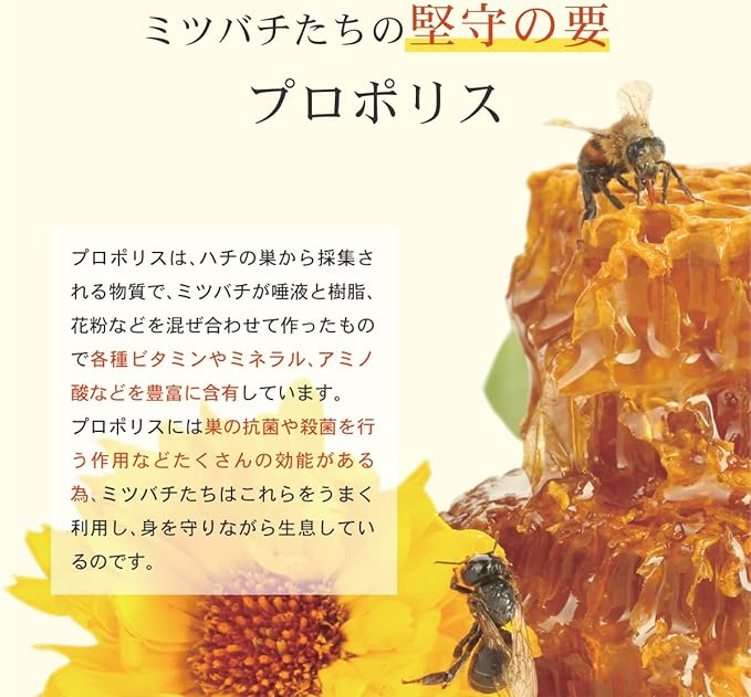 AFC Official Shop Propolis Solution 1.0 fl oz (30 ml), Original Instructions Included - BeesActive Australia