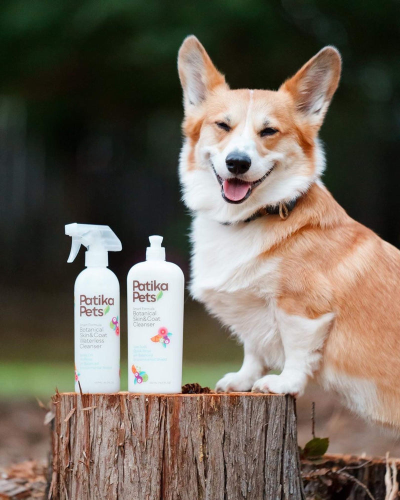Patika Pets | Botanical Cleanser for Dogs & Cats, Waterless Shampoo & Gentle Conditioner Spray, No Rinse Formula, Paraben Free, Natural Ingredients for Sensitive Itchy Skin - 16.2oz - BeesActive Australia