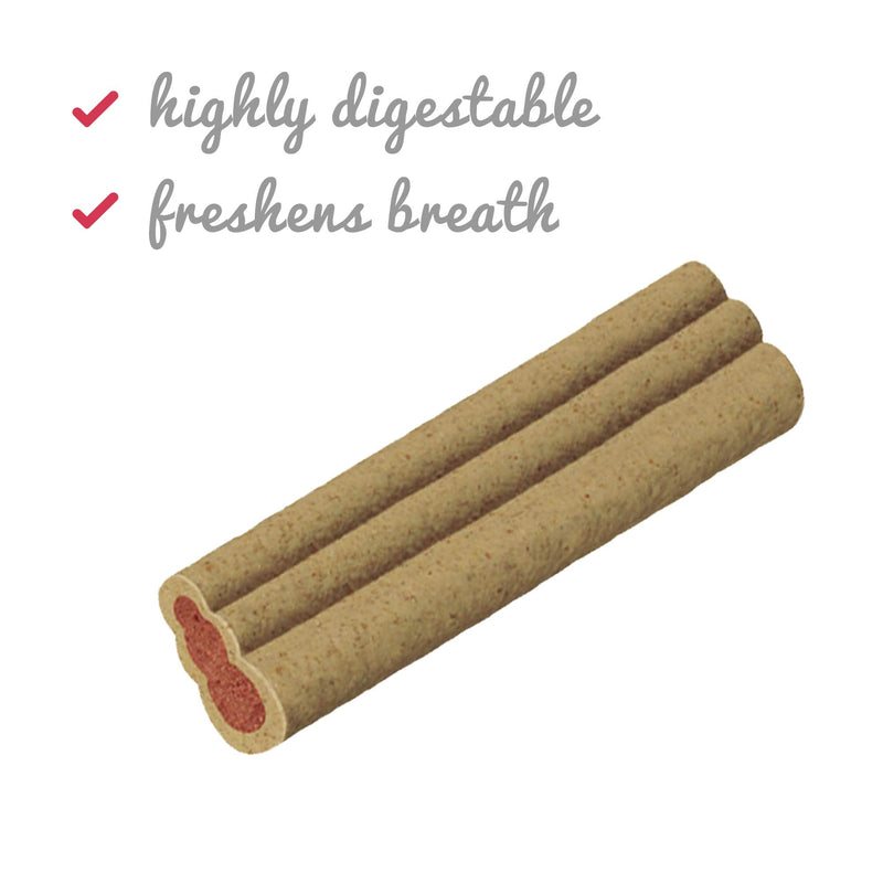 KONG - Classic and Ziggies - Dog Chew Toy with Dog Treats - for Large Dogs - BeesActive Australia