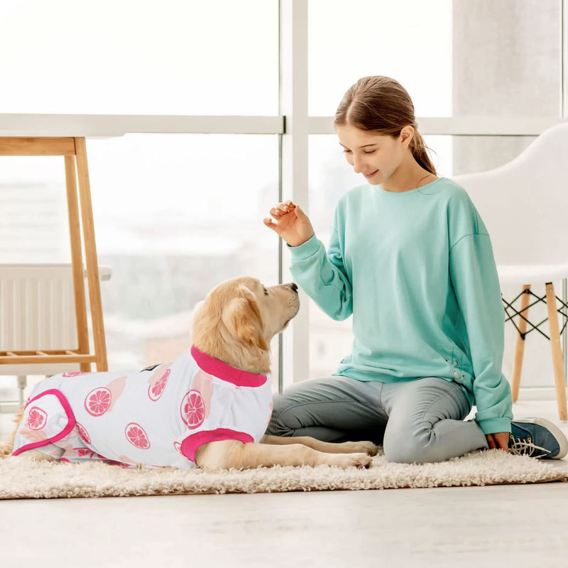Vanansa Recovery Suit for Dogs Cats After Surgery Prevent Licking Dog Bodysuit Puppy Surgical Clothes Post-Operative Vest S Grapefruit - BeesActive Australia