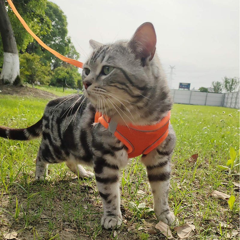 Love Dream Puppy Harness and Leash Set, Escape Proof Dog Cat Vest Harness for Cats Small Medium Dogs, Adjustable Reflective Step in Harness,Soft Mesh Comfort Fit No Pull No Choke Medium(13.7"-15.7") Orange - BeesActive Australia