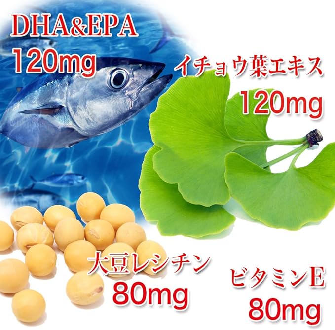 Dainichi Healthy Foods DHA EPA Ginkgo Biloba 80 tablets x 6 bags (8 months supply) Soy Lecithin Vitamin E Supplement - BeesActive Australia