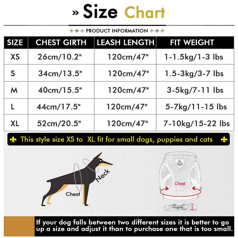 SMALLLEE_LUCKY_STORE Soft Mesh Puppy Harness Vest,Step-in Small Dog/Cat Harness and Leash Set for Walking Outdoor XS(chest 10.0",for 1-3 lbs) pink - BeesActive Australia