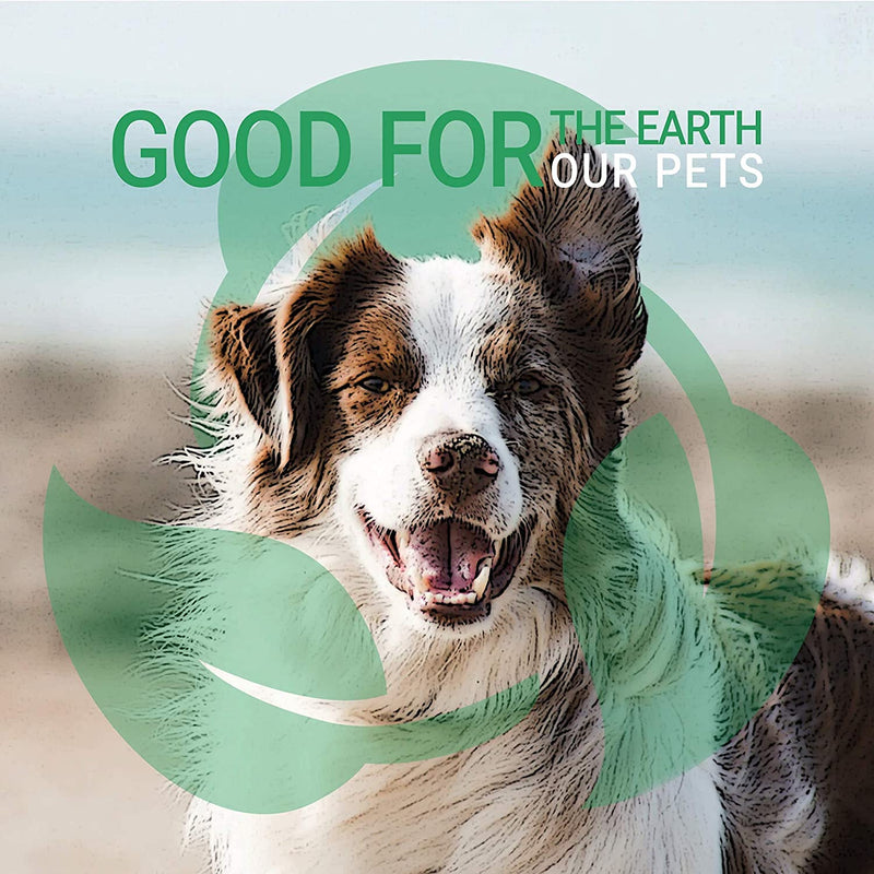 Green Groom Odor Eliminator Dog Shampoo, 16 oz - Crafted with Odortrol, All Natural Ingredients, Antioxidant Rich, Eliminates Smelly Pet Odors, Powerful Deodorizing Formula, Professional Grade - BeesActive Australia