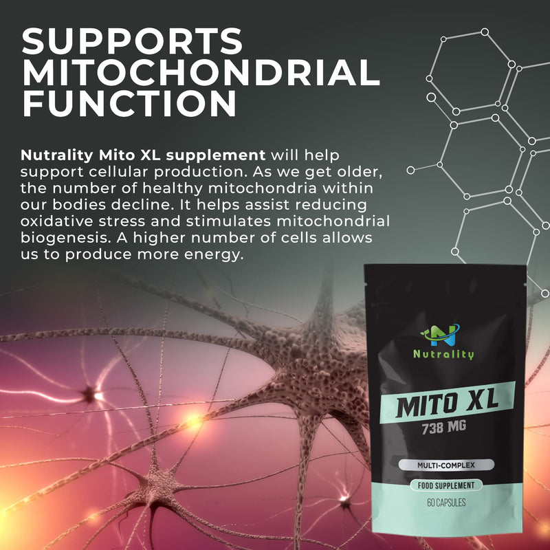 Nutrality Mito XL Supplement, 738mg - Mitochondrial Energy Optimizer, PQQ, Healthy Mitochondria, Cellular Energy, Cognitive Support, Brain Health. 1 Month Supply, 60 Vegan-Friendly Capsules - BeesActive Australia