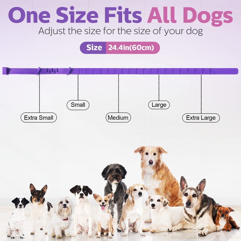 6 Pcs Calming Collar for Dogs 25 Inches Dogs Calming Pheromones Collar Dog Anxiety Relief Adjustable Pheromone Collar for Dogs with 2 Dog Tags for Medium Large Puppy Reduce Anxiety or Stress, Purple - BeesActive Australia