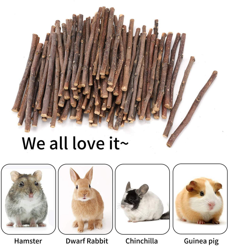 XLpeixin 200g Apple Sticks Small Animals Chew Toys,Small Animals Molar Wood Treats Toys for Rabbits Chinchillas Guinea Pig Hamster Gerbil Bunny，Uniform Thickness and Size thin200g - BeesActive Australia