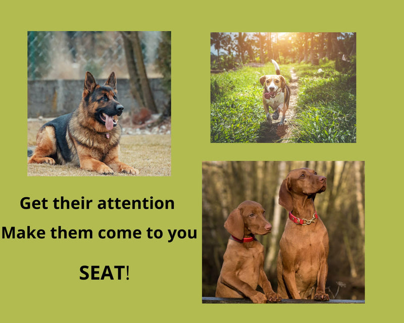 Genérico Dog Training Whistles, Dog Training Whistle, Ultra Sonic Dog Whistle, Dog Whistle to Call Dog, Whistle for Dogs, Dog Whistle to Make Dogs Come to You - BeesActive Australia