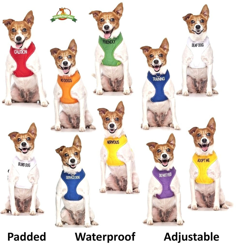 Dexil Limited Adopt ME Yellow Color Coded 2 4 6 Foot Padded Handle Dog Leash (New Home Needed) Donate to Your Local Charity 4 Foot Leash - BeesActive Australia