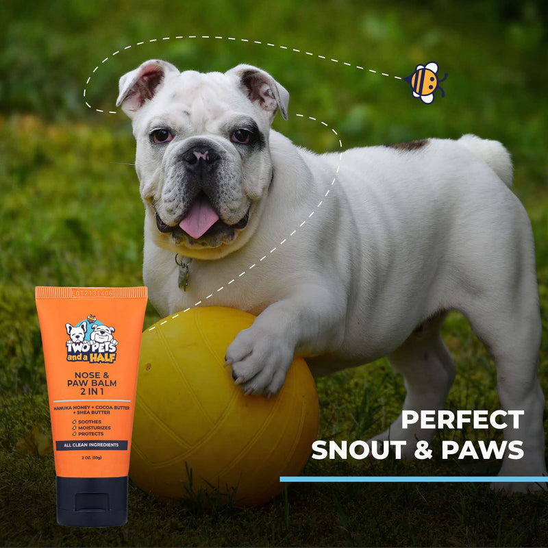 Bulldog Nose Butter & Paw Balm Treatment for Dry, Cracked and Rough Paw & Snout 2oz-Also Paw Moisturizer for Dogs and Protection for Hot Pavement-Dog Nose & Paw Balm,Paw Cream & Snout Soother for Dogs Pack of 1 - BeesActive Australia