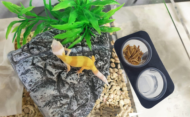 MRTIOO Enhanced Crested Gecko Feeding Ledge, Reptile Food Bowls and Water Dish for Lizard Or Other Small Pet Amphibian Feeder Ledge Accessories Supplies, with 20 pcs 0.5oz Food Cups - BeesActive Australia