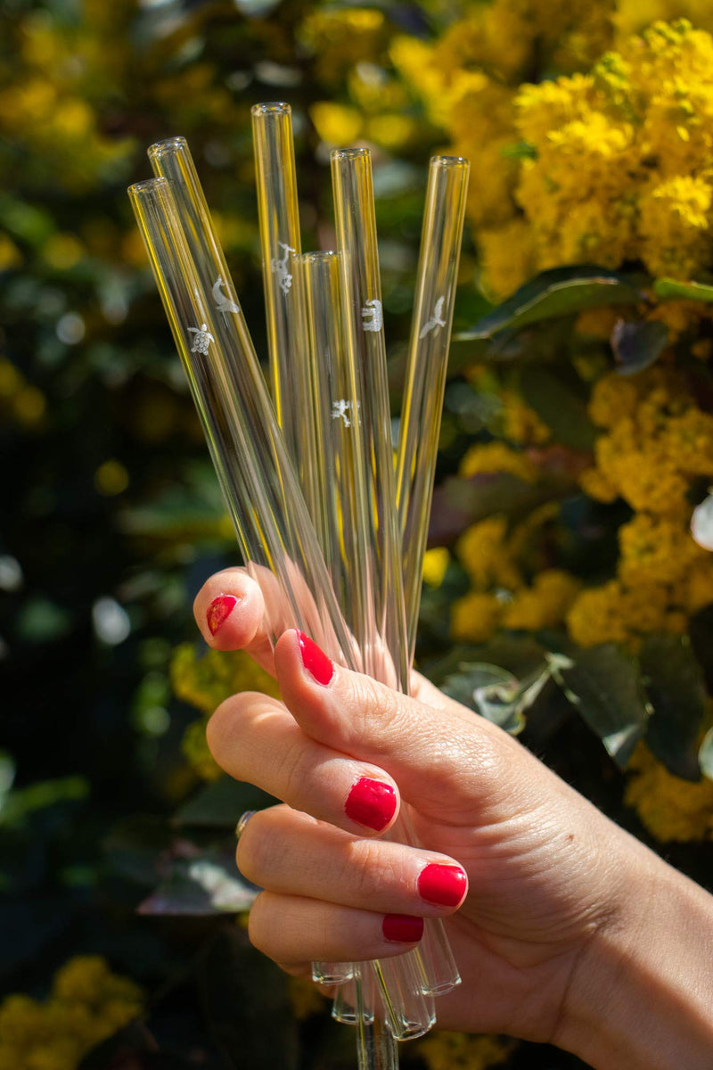 HALM Glass Straws - Earth Day Charity Edition - 6 Reusable Drinking Straws engraved with Endangered Animals - 20 cm (8 in) x 0.9 cm - Made in Germany - Dishwasher Safe - Eco-Friendly - BeesActive Australia