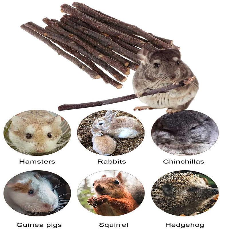 Natural Apple Sticks Small Animals Molar Wood Treats Toys Chinchilla Guinea Pig Hamster Rabbit Gerbil Parrot Bunny and Small Animals Chew Stick Toys Treats Apple Sticks 10oz - BeesActive Australia